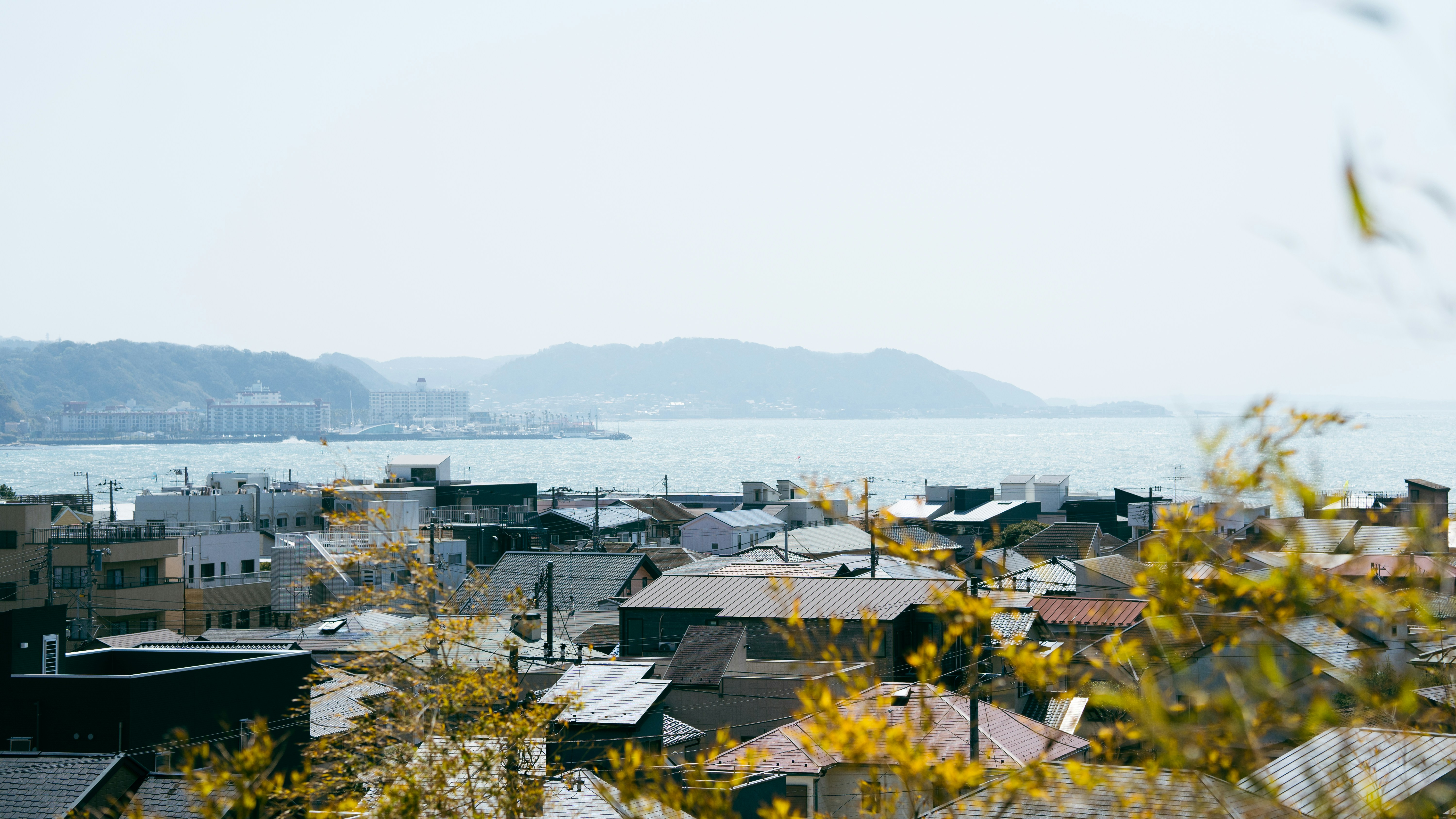横浜市・横須賀市・鎌倉市・逗子市・三浦市・葉山町の空き家管理サービス